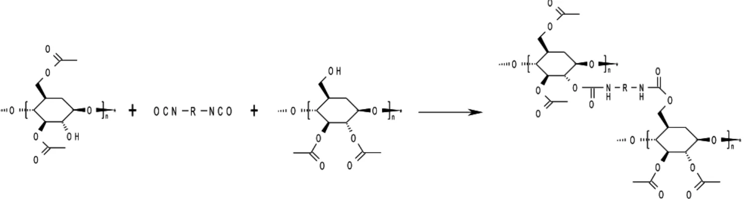 Figure II-11: Schéma de la réticulation de l’acétate de cellulose  