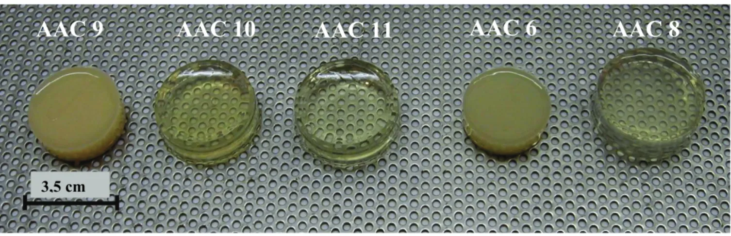 Figure II-16: Photographie des gels d’acétate de cellulose réticulé (formulations décrites au tableau II-5)  La synérèse est un phénomène irréversible