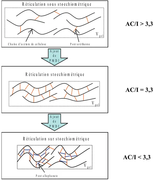 Figure II-19: Schématisation de la contraction volumique en fonction du taux de réticulation (AC/I) 