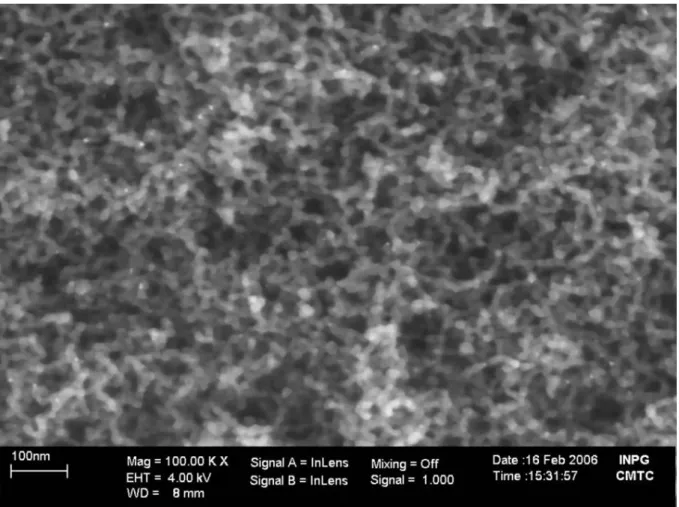 Figure 12: Cliché, obtenu par microscopie électronique à balayage, d'un aérogel de carbone [7] 