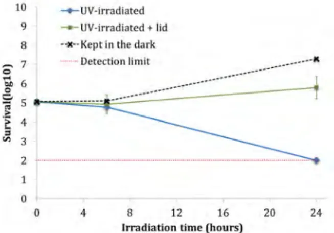Figure 1. Direct effect of the time of UV irradiation on the survival of Escherichia coli CIP 53126