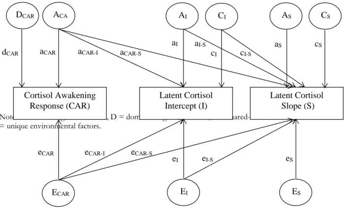 Figure 1. Overview of the multivariate Cholesky model testing the common and specific genetic and  environmental etiologies of the CAR, the awakening cortisol levels and diurnal cortisol change  