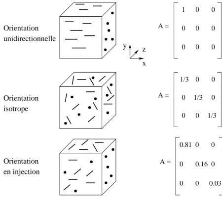 Fig. 2.7  Exemple de tenseurs d'orientation a 2 pour diérentes orientations dans le cas 3d.