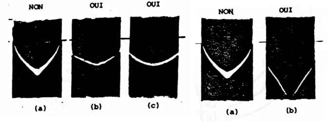 Figure I.8 : Visualisation du glissement d’un mélange à base  de SBR et à  γ &amp; a =1.78.10 -2  s -1  [51] 