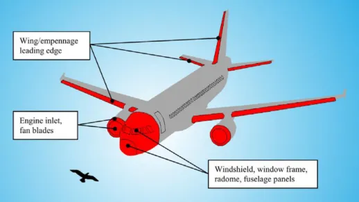 Figure 1: Illustration of Aircraft Components Exposed to the Risk of Bird Strike [4]  The  development  of  structural  components  of  aircrafts  is  more  and  more  based  on  tests  and  simulations  from  the  scale  of  small  coupons  to  the  scale