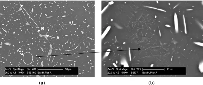 Figure I.3 : Micrographies MEB représentant (a) les types de particules observées à l’état brut de coulée (b) un zoom  sur les précipités fins C