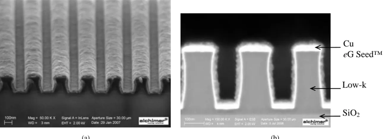Figure 1.4 : Images MEB d’une couche de germination de cuivre eG Seed™ de 10 nm d’épaisseur  déposée sur des tranchées de 100 nm