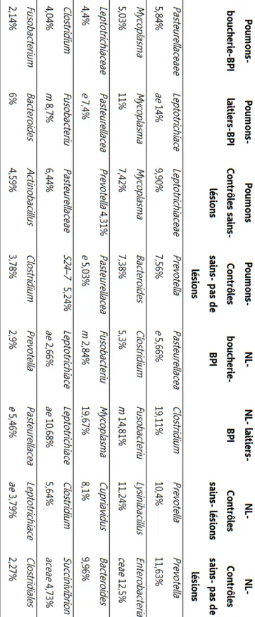 Tableau  2  :  Abondances  relatives  des  familles  bactériennes  trouvées  dans  les  poumons  et  les  nœuds  lymphatiques  (NL)  de  veaux  cliniquement  sains  ou  atteints  de  BPI,  ayant  ou  pas  des  lésions  pulmonaires,  dans  les  productions 