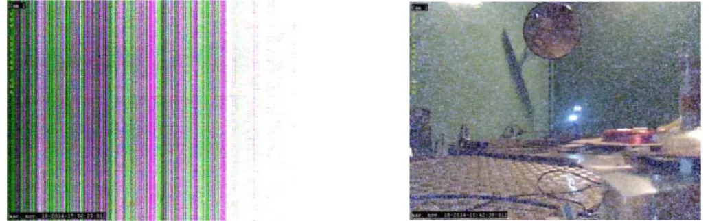 Figure 1 : Typical failure and image degradation observed on COTS camera at low TID. 