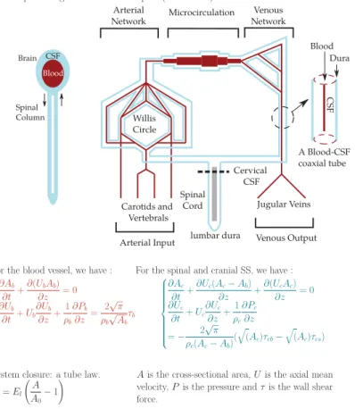 Fig. 6: Blood Pressure Fig. 7: Cervical CSF Flow Fig. 8: Cervical CSF Pressure