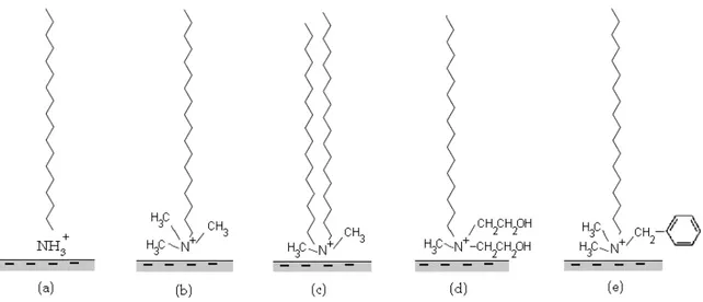 Figure I.10 :  Représentation schématique de quelques exemples de molécules de tensioactifs