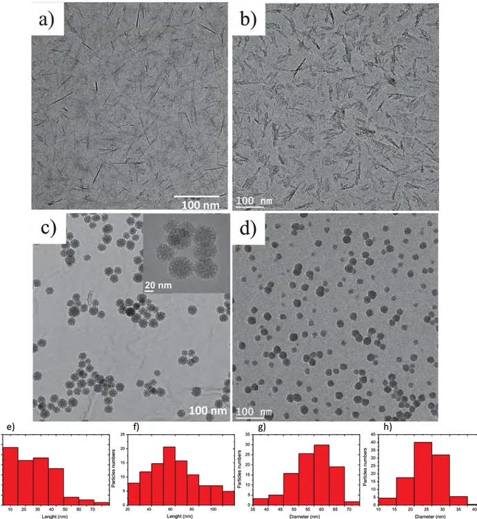 Fig. 1. (a–d) TEM micrographs and (e–h) histograms of particle size; (a, e) Y-AlOOH, (b, f) C-AlOOH, (c, g) M-SiO 2 , (d, h) C-SiO 2.