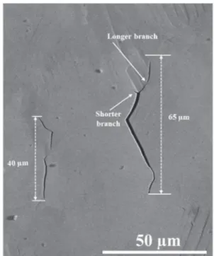 Fig. 2. SEM image illustrating the criterion chosen to measure the crack length.