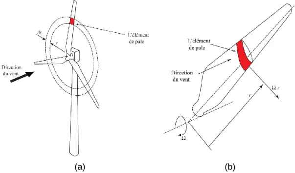 Fig. 2.1 Concept d’élément de pale (a) un anneau balayé par un élément (b) un  élément de pale au rayon local r 