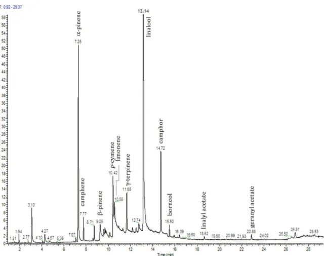 Fig. 2. Chromatogram resulting from the SPME-GC–MS analysis of the self-bonded coriander board using a 75 μm Carboxen/PDMS ﬁber coating (T, 23 °C; t adsorption ,