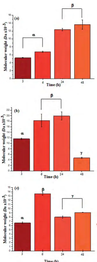 Fig. 3 Molar mass distributions calculated by integration of the characteristic 1 H NMR signals for polypeptides poly( L -LeuOEt) (a); poly( L -PheOEt) (b), and poly( L -LeuOEt-co- L -PheOEt) (c).