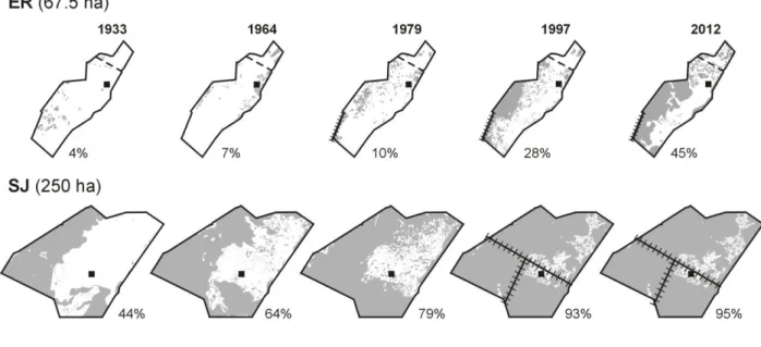 Fig 3 Spatiotemporal evolution of the forest cover (grey areas) of the Ecological Reserve (ER) 504 