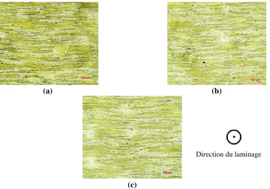 Figure III-19 : Évolution de la microstructure de l'alliage 2050 en fonction de la vitesse de déformation  : (a) 10 -1 , (b) 10 -2  et (b) 5.10 -3  s -1  à une température de 150°C 
