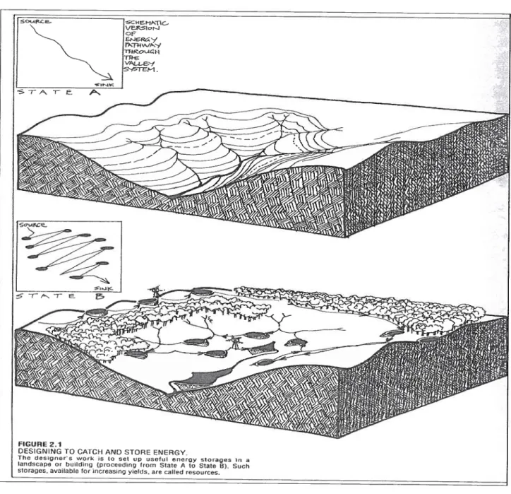 Figure 3.4.1 Recueillement de l’eau par le keyline plan (Perinactillure Desginers’ Manuat, p