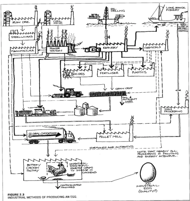 Figure 3.1.1 Production industrielle d’oeuf. (Permacutture Designers’ Manual, p.24)