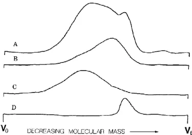 Figure I-4: Size exclusion chromatograms of gum arabic and its fractions (hydrophobic interaction  chromatography): (A) whole gum arabic; (B) fraction 1; (C) fraction 2; (D) fraction 3A (from Randall et al., 1989) 