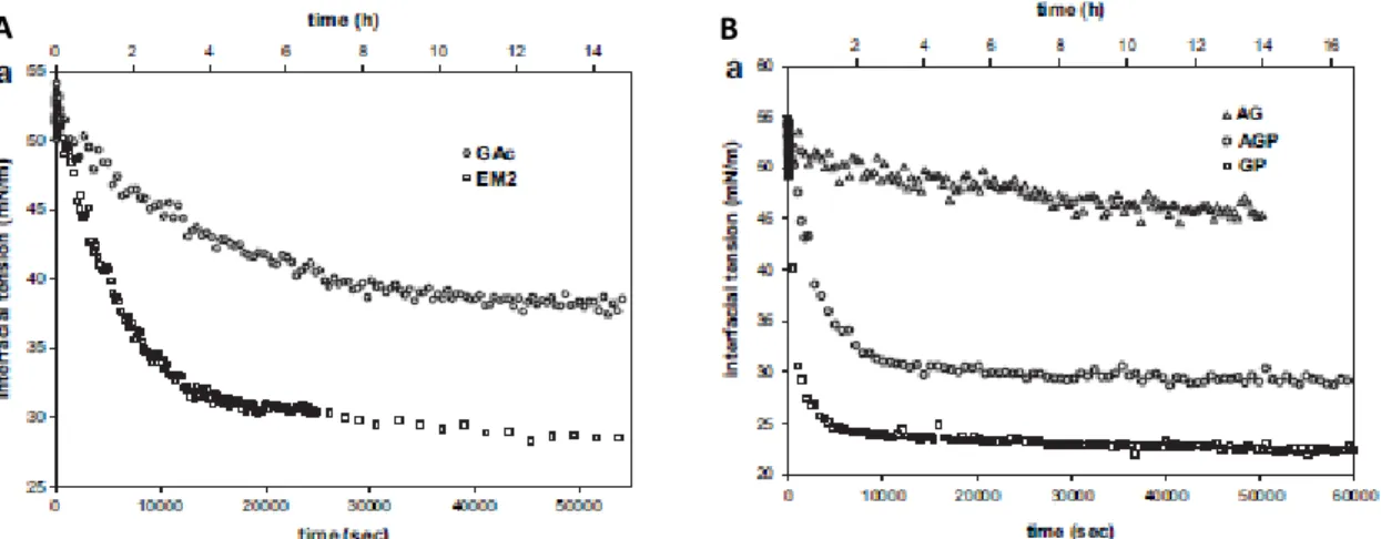 Figure I-20: Linear plot of interfacial tension kinetics of (A)control acacia gum (GAc) and matured acacia gum  (EM2) (B)matured gum components (GA, AGP et GP) at the n-hexadecane-water interface (pH 4.5 and 20°C, 