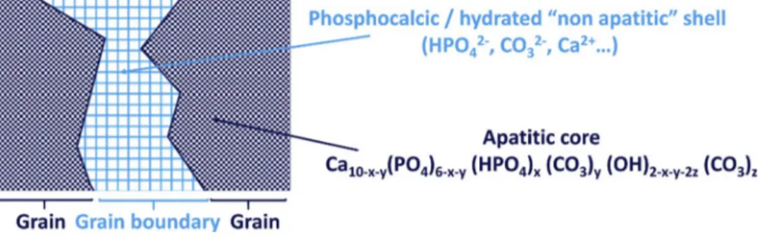 Fig. 17. Schematic representation of the SPS ceramic.