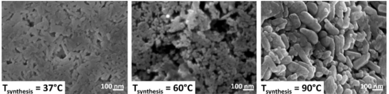 Fig. 7. SEM of ceramics surface after SPS of powders synthesized at diﬀerent temperatures (observation of the surface perpendicular to the direction of the applied load).Table 6