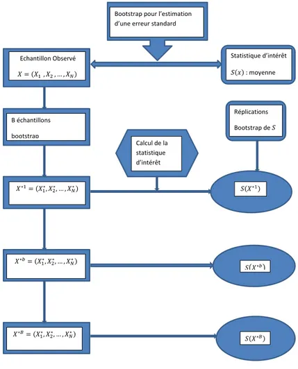 Figure 1.4.1 – Bootstrap pour l’estimation d’une erreur standard