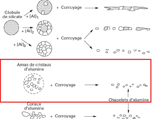 Figure 17 : Etat des amas d’alumine après avoir subi une déformation [POK98] 