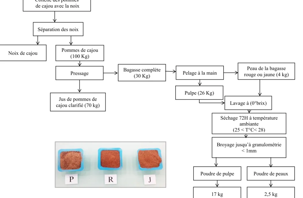 Figure 15 : Processus d’échantillonnage de la bagasse pour 100 Kg de pommes de fraiches (P : Pulpes, R  : Peaux rouges et J  : Peaux jaunes)  