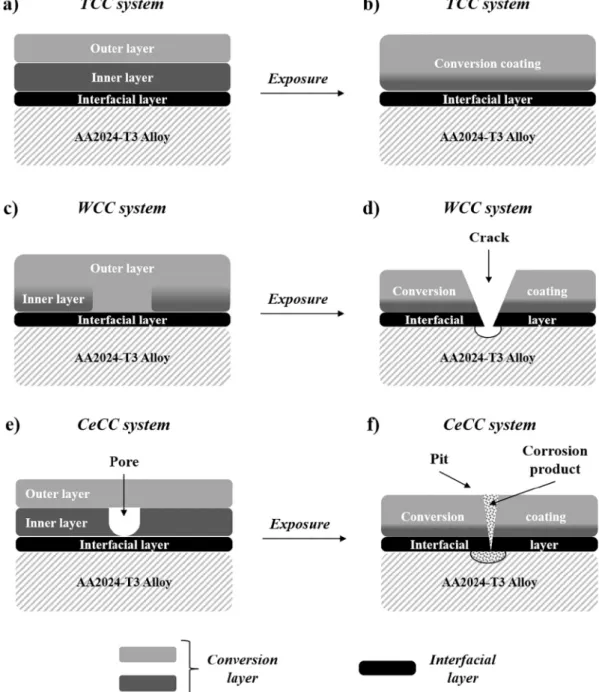 Fig. 9. Schematic representation of (a, b) TCC, (c, d) WCC and (e, f) CeCC evolution after 245 h of exposure in 0.1 mol/L of Na 2 SO 4 with 10 −3 mol/L of NaCl.