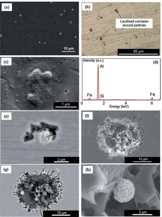 Fig. 6 a and b showed that the rod exhibited two components of ﬁbre texture along the rolling axes, i.e