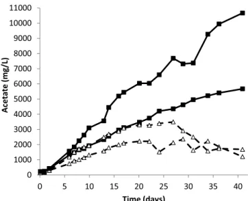 Fig. 3. Acetate production in medium inoculated with biological sludge 10% v/ v (run #2)
