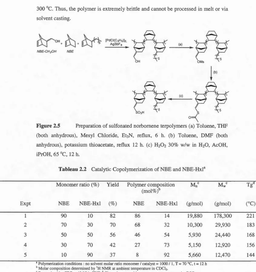 Tableau 2.2  Catalytic Copolymerization  of  NBE  and NBE - Hxl a 