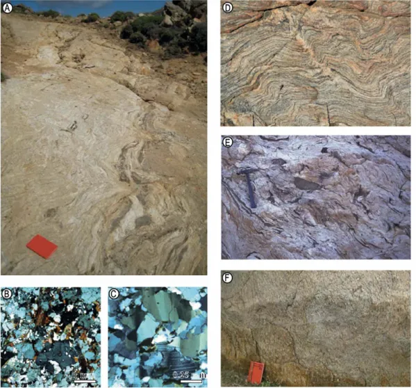 Fig. 2. Representative structures of  migmatites. A. Metatexitic  paragneiss (right) grading into  leucocratic  diatexite with  metatexitic  enclaves  Oeft)  illustrating  characteristic gradational contacts assodated with the partial melting front