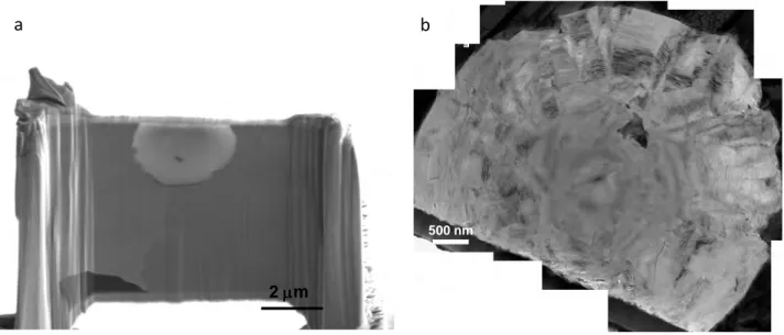 Figure 1  –  SEM image of a diametrical section of a graphite nodule obtained by FIB (a)  and   photomontage of bright field images showing an overview of the sample (b)