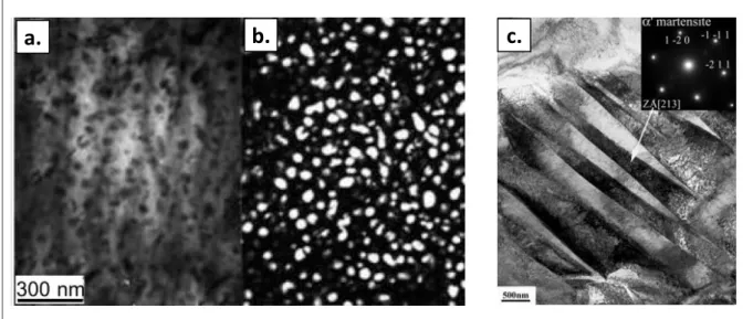 Figure 2-31 : Phase   2  (Ti 3 Al) générée à partir de la phase    observée au MET par imagerie en 