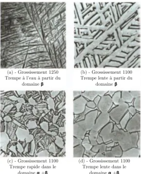 Figure 1.7 - Exemple de microstructure dans le cas du Ti6Al4V ; (a) - Structure α’ ;   (b) – Structure lamellaire ; (c) – Structure duplex ; (d) Structure équiaxe  [Combres 13] 