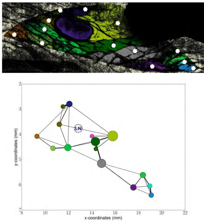 Figure 4  Dichamp J. et al. 