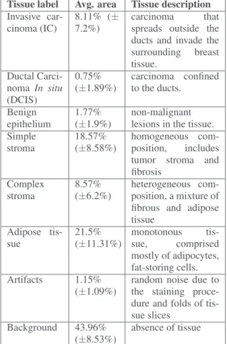 Table 1: Tissues categories characteristics and correspond- correspond-ing average area present in the dataset.