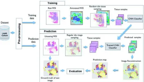 Figure 2: Workflow of the training and test phases of CNN classifiers for breast cancer image segmentation.