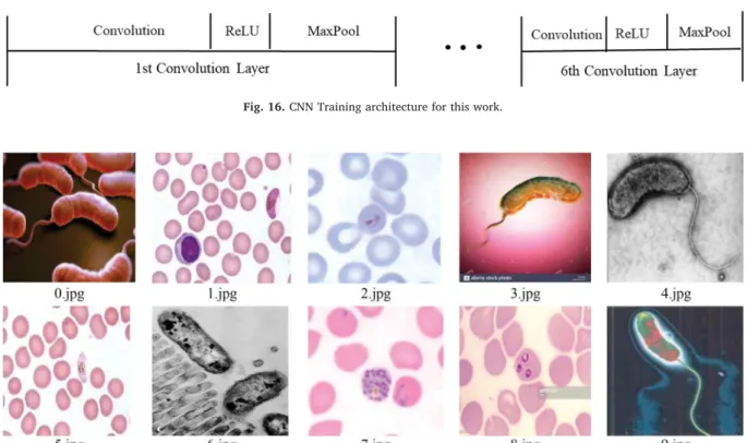 Fig. 18. complete CNN architecture for epidemic pathogen classiﬁcation