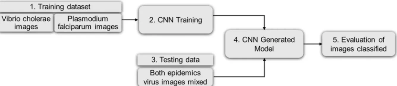 Fig. 15. Some images from our database.