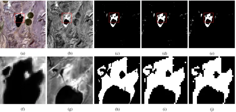 Fig. 8. Real scenario (LR-MS and HR-PAN). (a) LR-MS observed image Y t 2