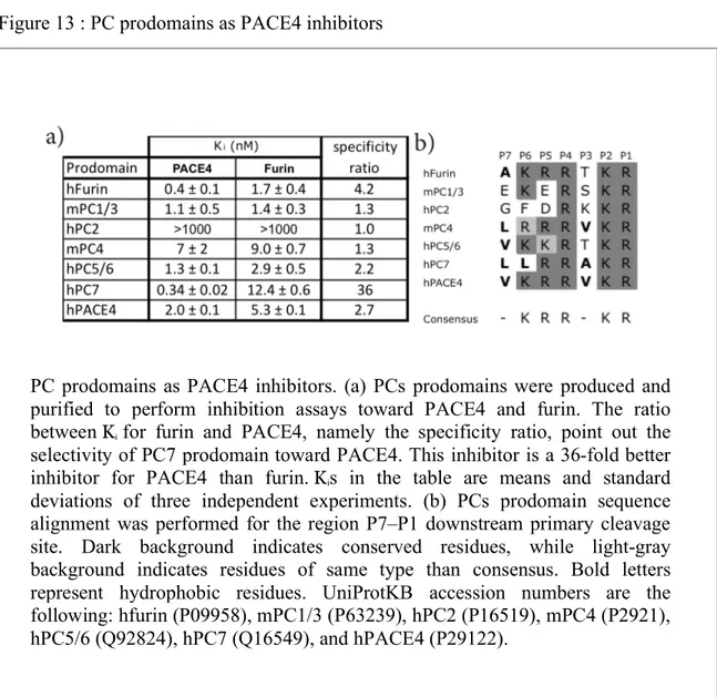 Figure 13 : PC prodomains as PACE4 inhibitors