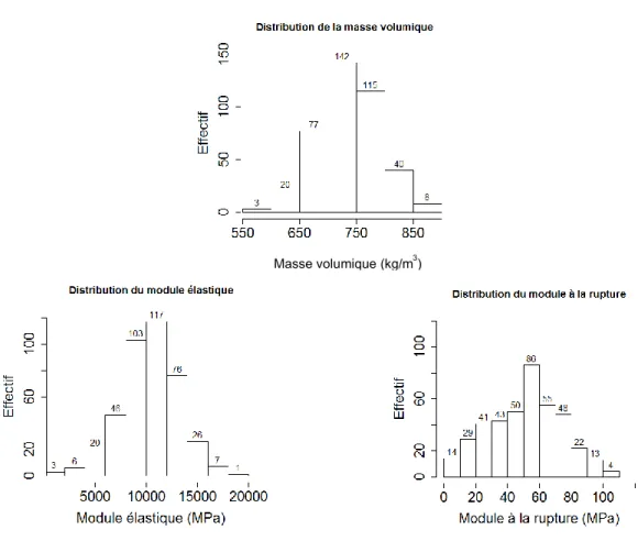 Figure 2.11: Histogramme de la distribution des propriétés mécaniques du lot principal