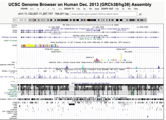 Figure 3 - UCSC Genome Browser [17] 