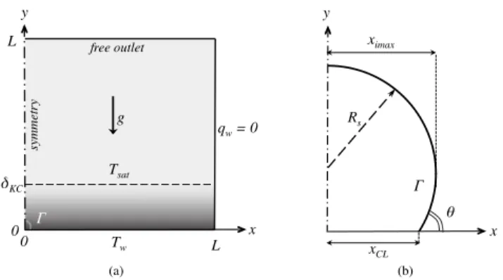 Fig. 2 (a). The initial shape of the seed is reported in the zoom view of Fig. 2 (b): it is a circle of radius R s shifted upward in order to have