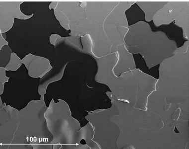 Figure 3.4: HR-SEM image of the partially delaminated surface of a WC sample on Si.